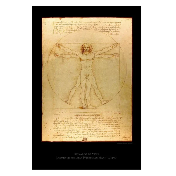 leonardo vitruvian man XVI001 blck