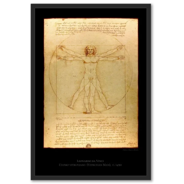 leonardo vitruvian man XVI001 blck blck