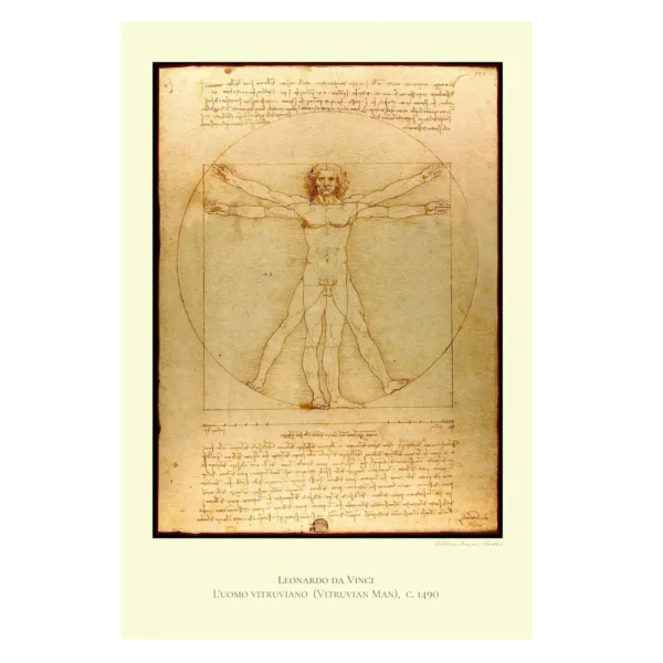 leonardo vitruvian man XVI001 lght