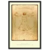 Framed print: Leonardo's Vitruvian Man