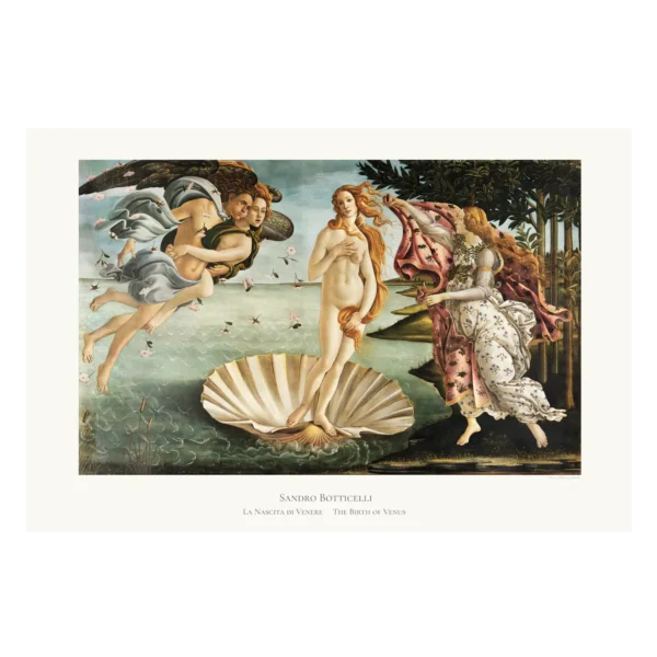 XC006 botticelli birth of venus