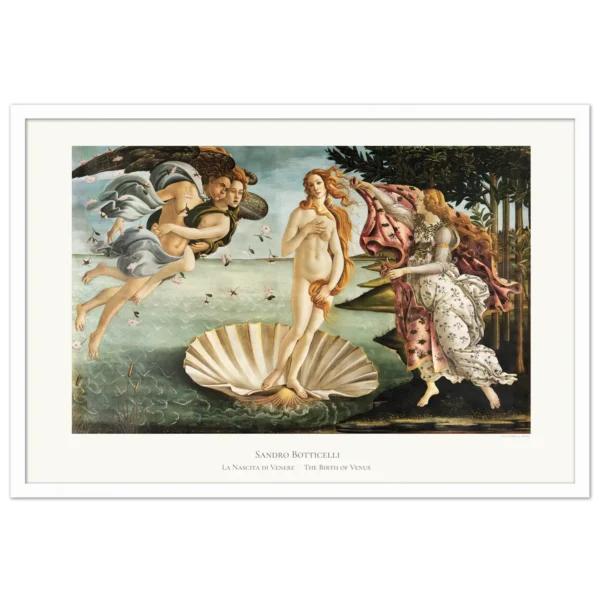 XC006b botticelli birth of venus