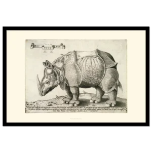 Albrecht Duerer's Rhiniceros in a copy by Enea Vico