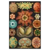 Haeckel: Sea squirts