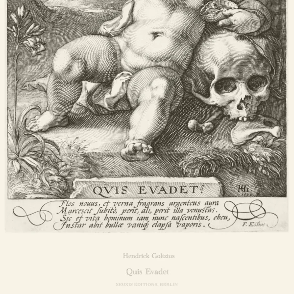 XC024y goltzius quis evadet