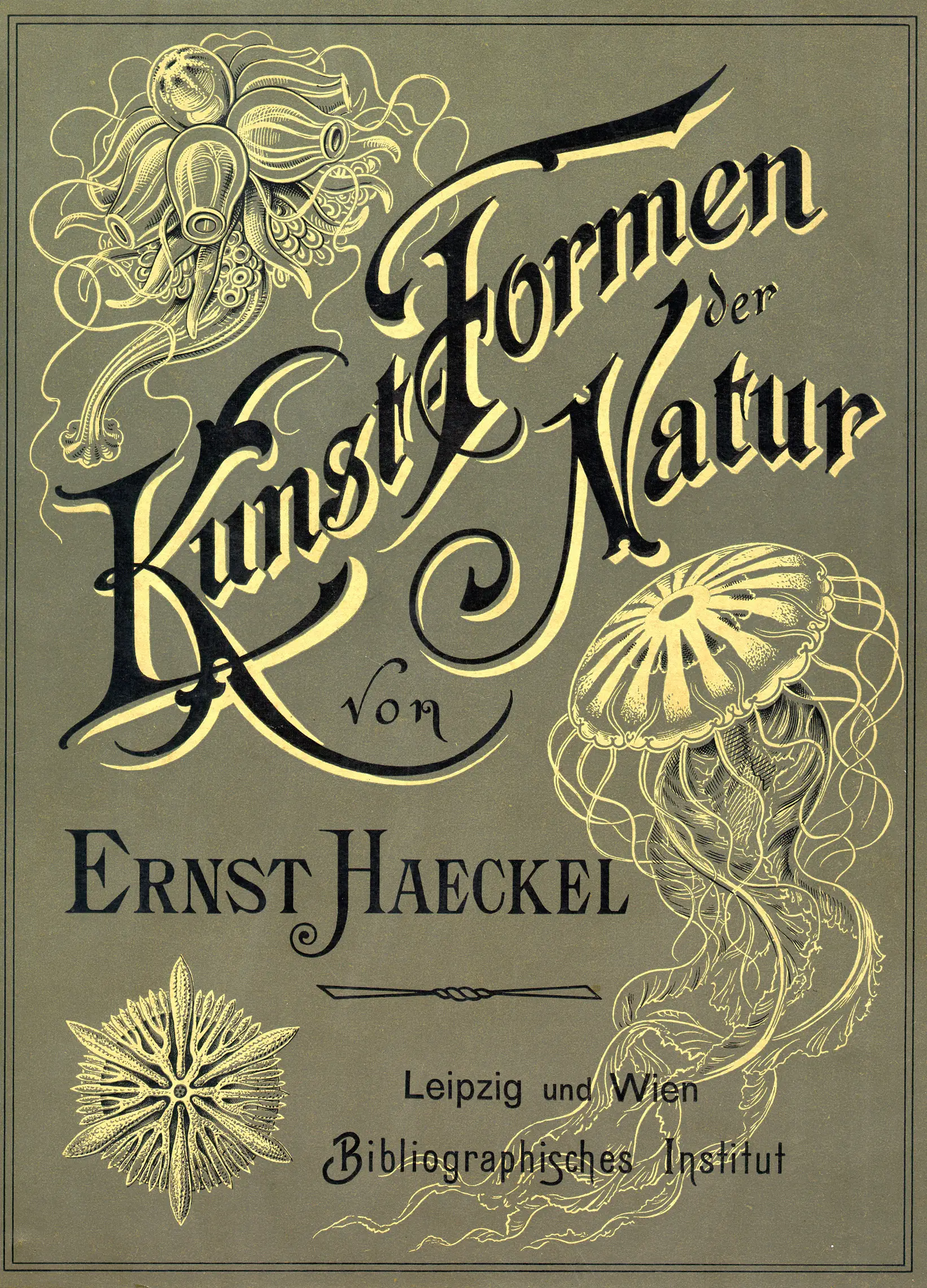 kunstformen der natur cover