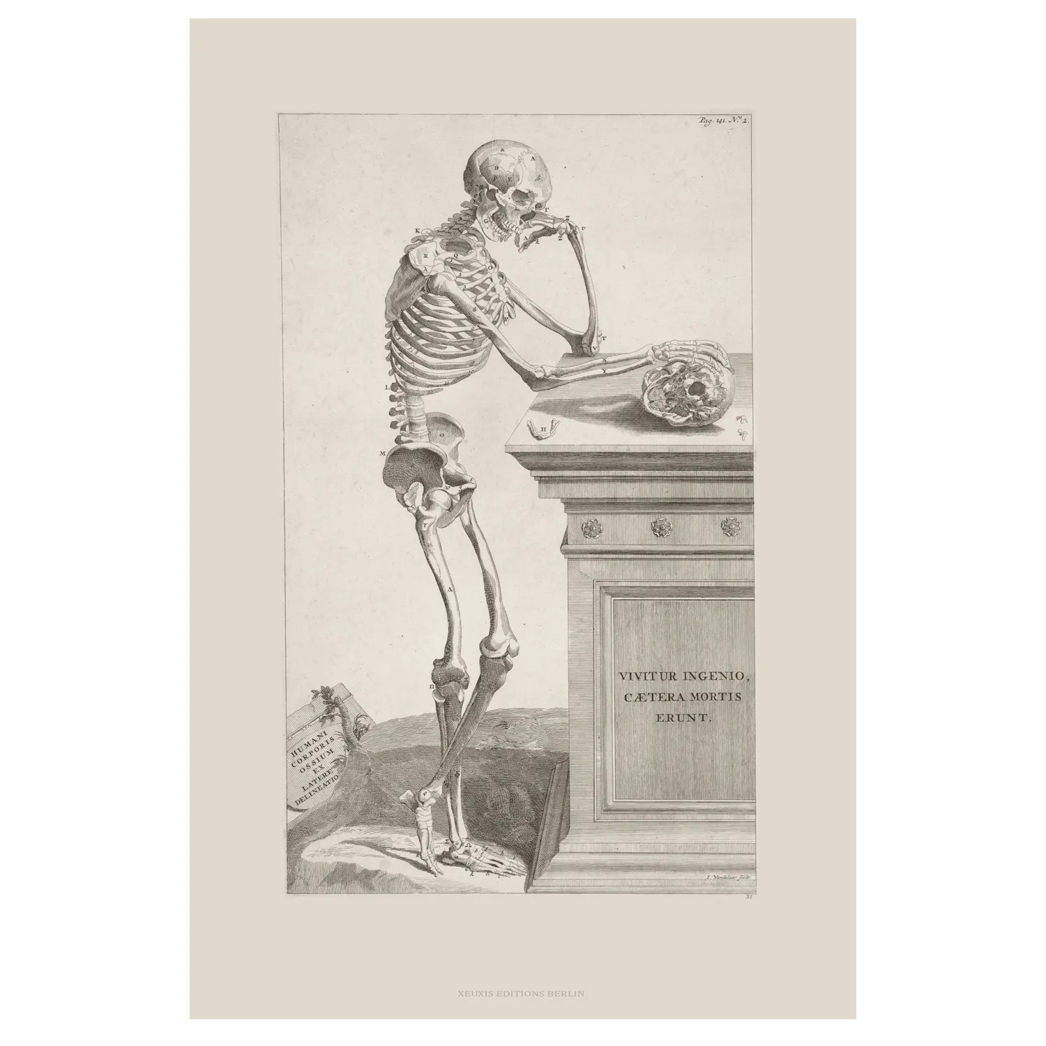 Wandelaar: Memento Mori - Image 3