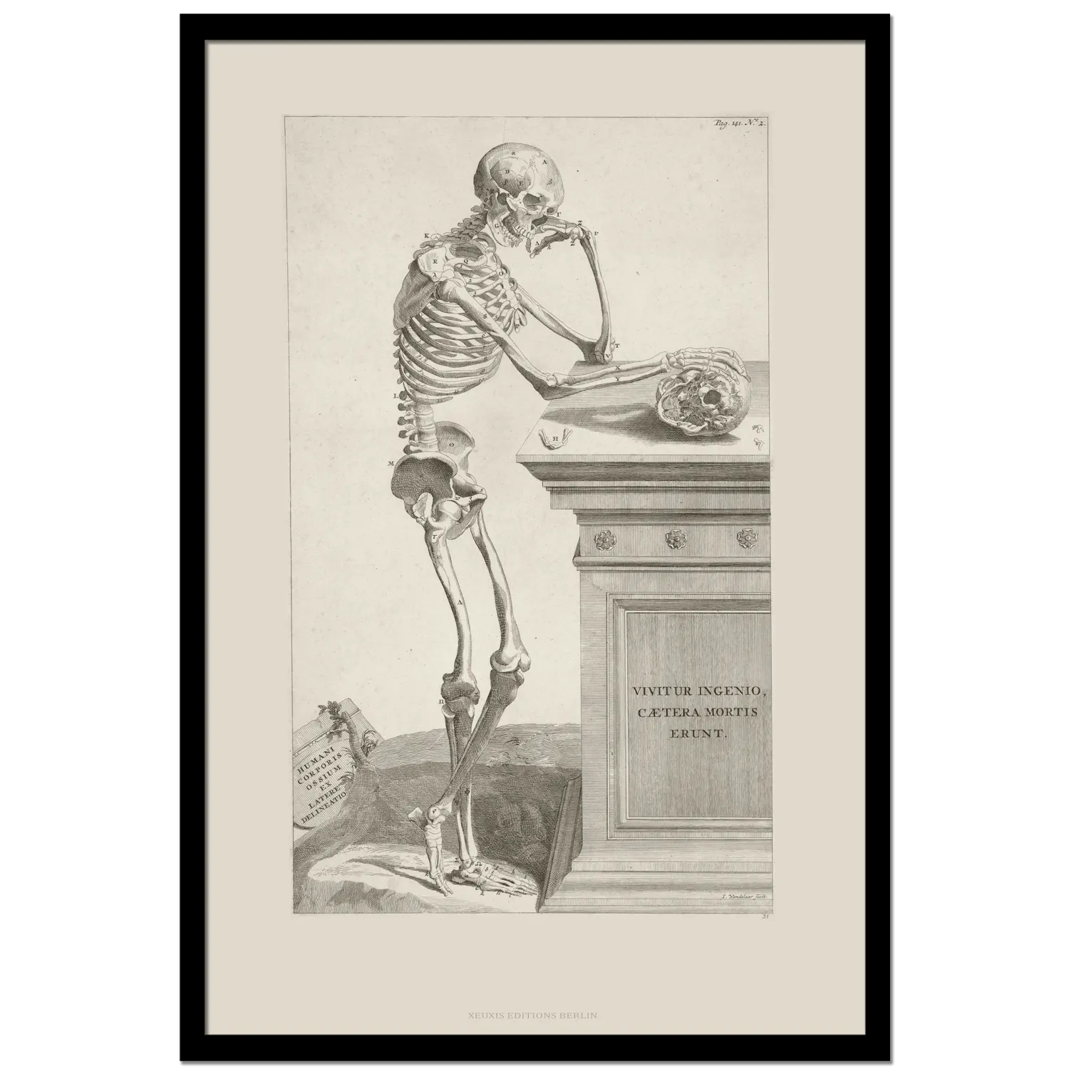 Xeuxis Edition: Wandelaar, Memento Mori