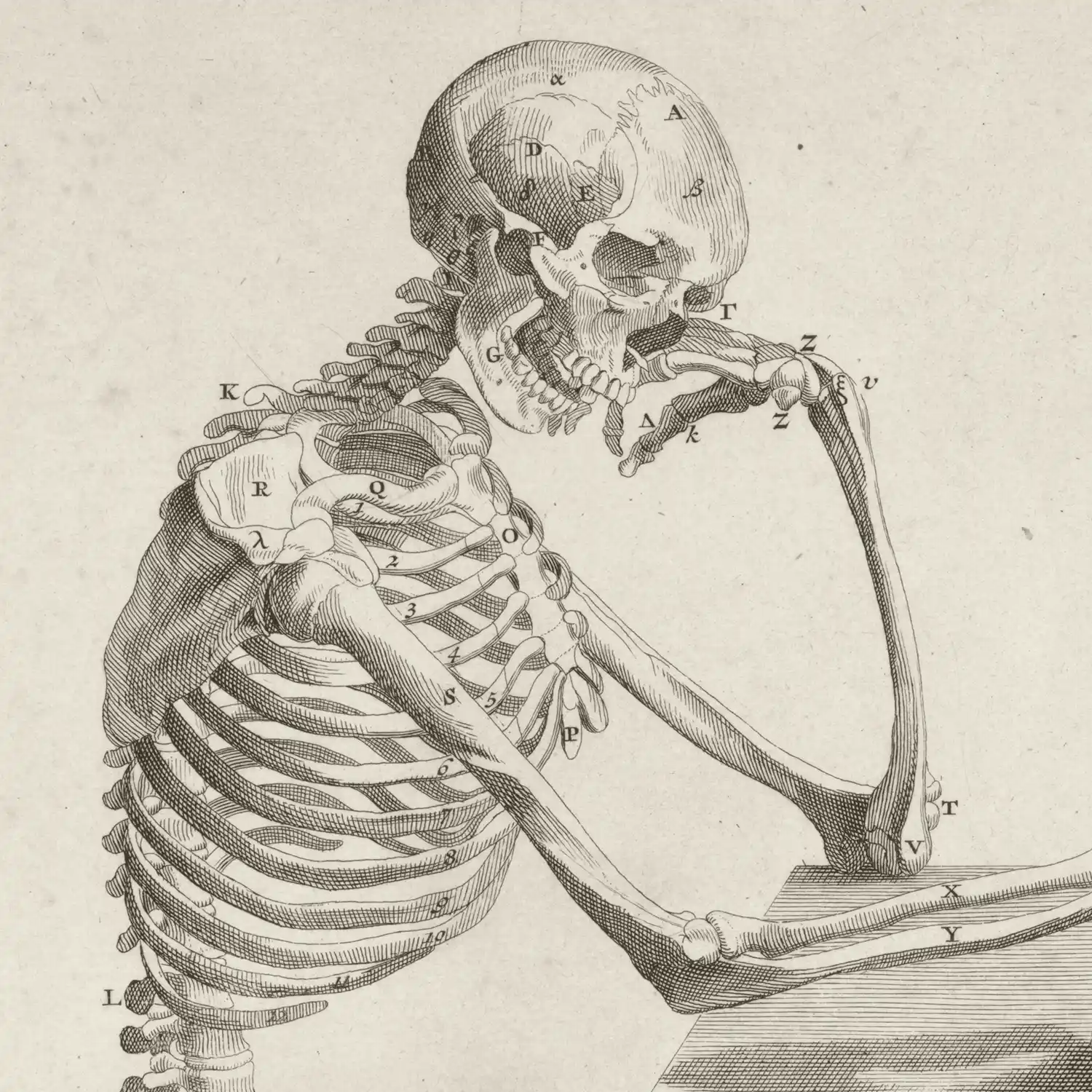 Wandelaar: Memento Mori - Image 2