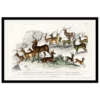 Xeuxis Editions: Oliver Goldsmith, Deer (framed)