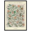 Xeuxis Edition: William Morris, Jasmine