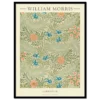 Xeuxis Edition: William Morris, Larkspur