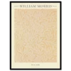 Xeuxis Edition: William Morris, Willow