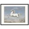 Xeuxis Edition, Joris Hoefnagel, White Horse