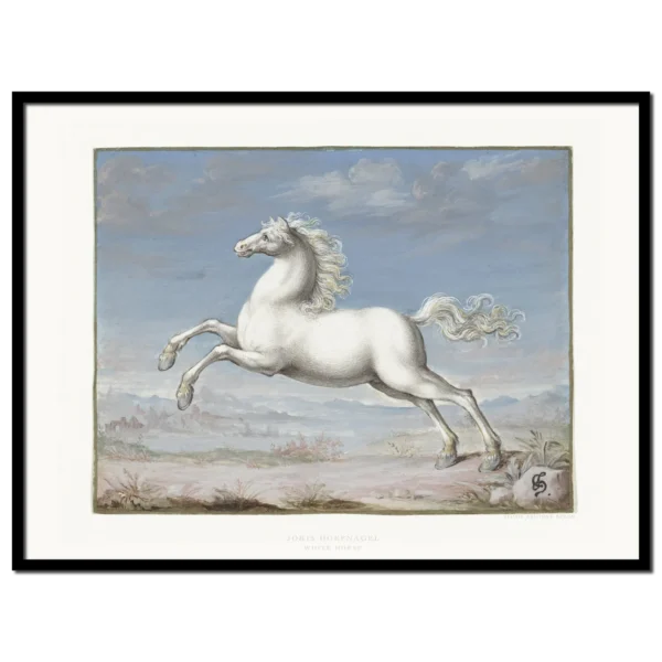 Xeuxis Edition, Joris Hoefnagel, White Horse