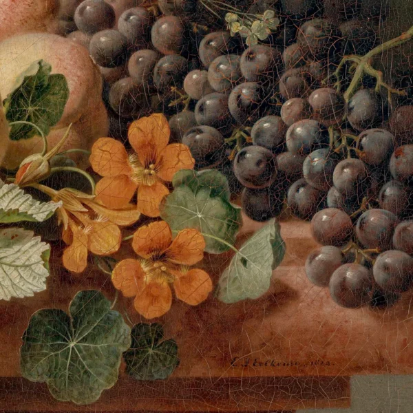 Xeuxis Edition, Eelke Jelles Eelkema, Still Life with Flowers and Fruit, 1824 (Detail)