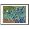 van Gogh, Irises