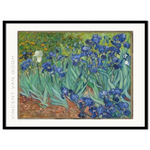 van Gogh, Irises