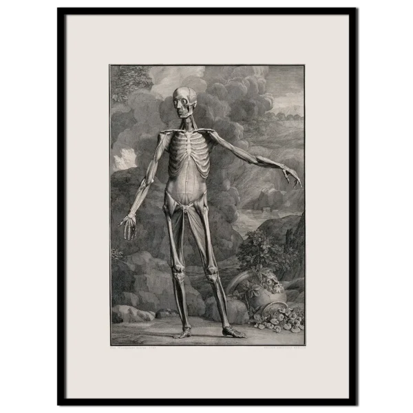 Xeuxis Edition: Wandelaar, Anatomische Figur
