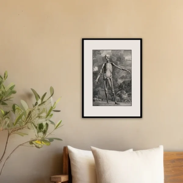 Jan Wandelaar, Anatomische Figur