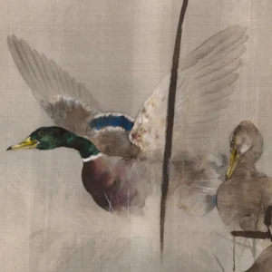 Enten im Schilf (Detail)