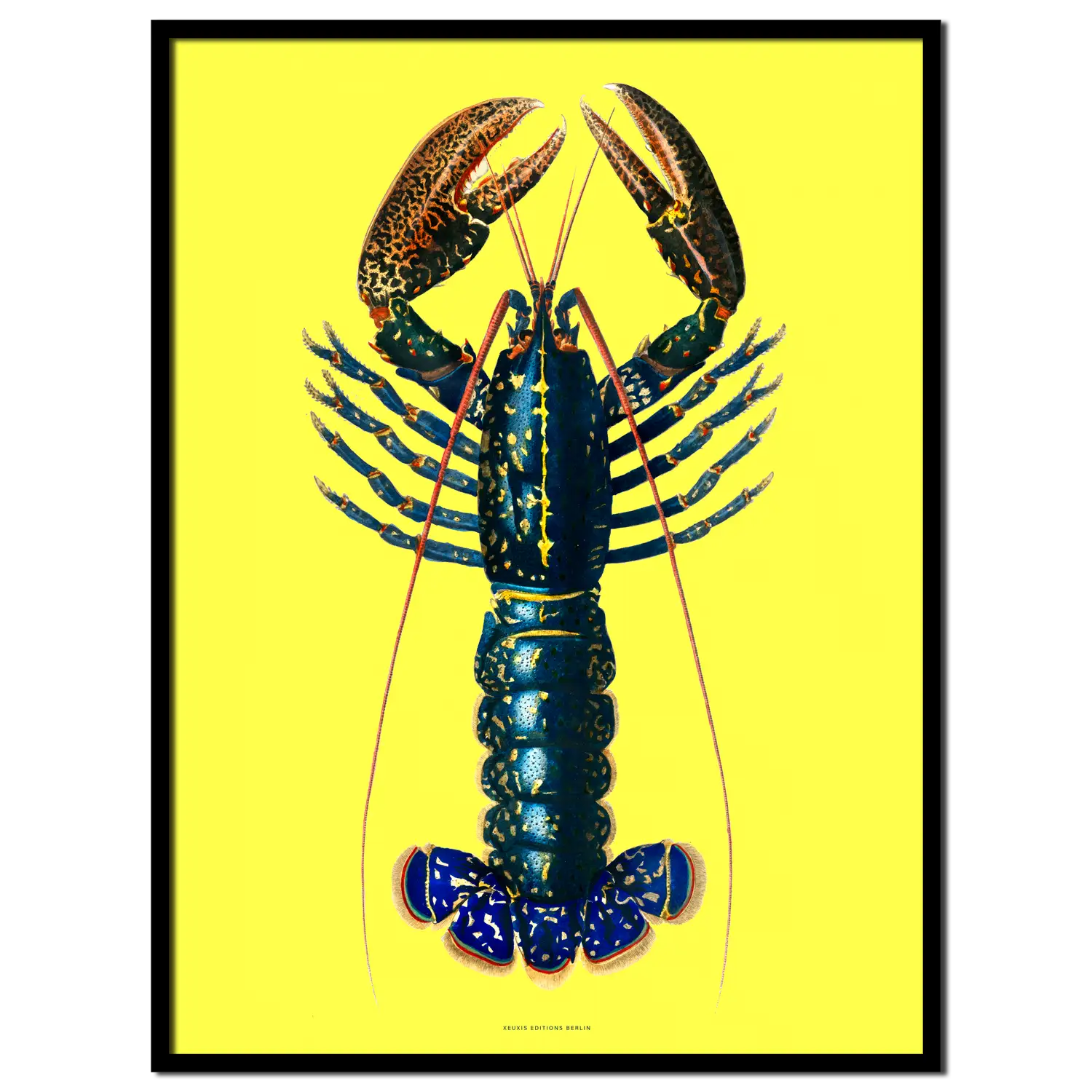 Crawfish