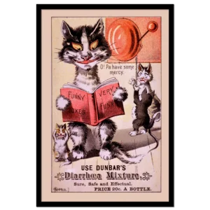 Poster: Use Dunbar's Diarrhoea Mixture