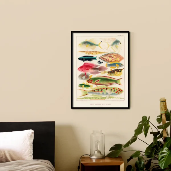 Fische I. <br>(Great Barrier Reef Fishes) – Bild 2