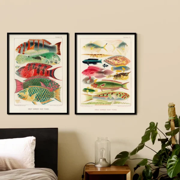 Fische I. <br>(Great Barrier Reef Fishes) – Bild 3