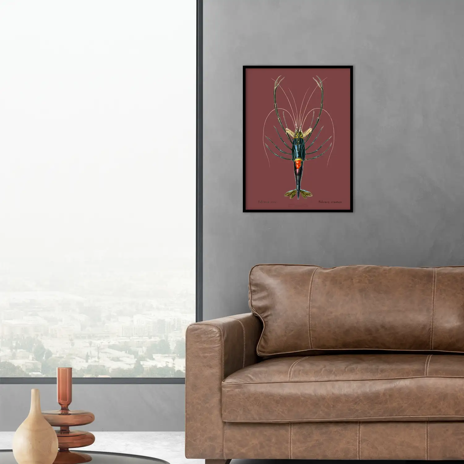 Palémon orné - Image 2