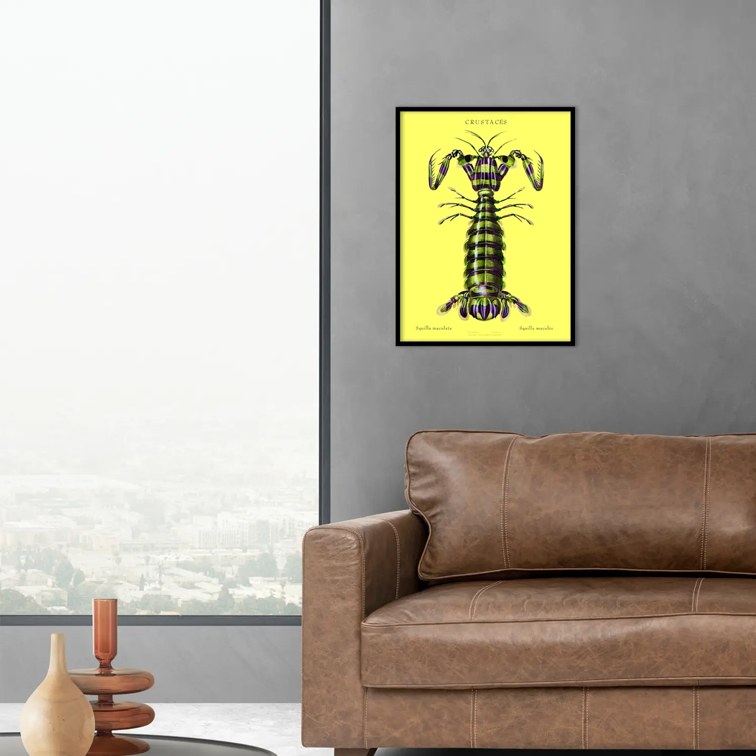 Spotted Mantis Shrimp - Image 2