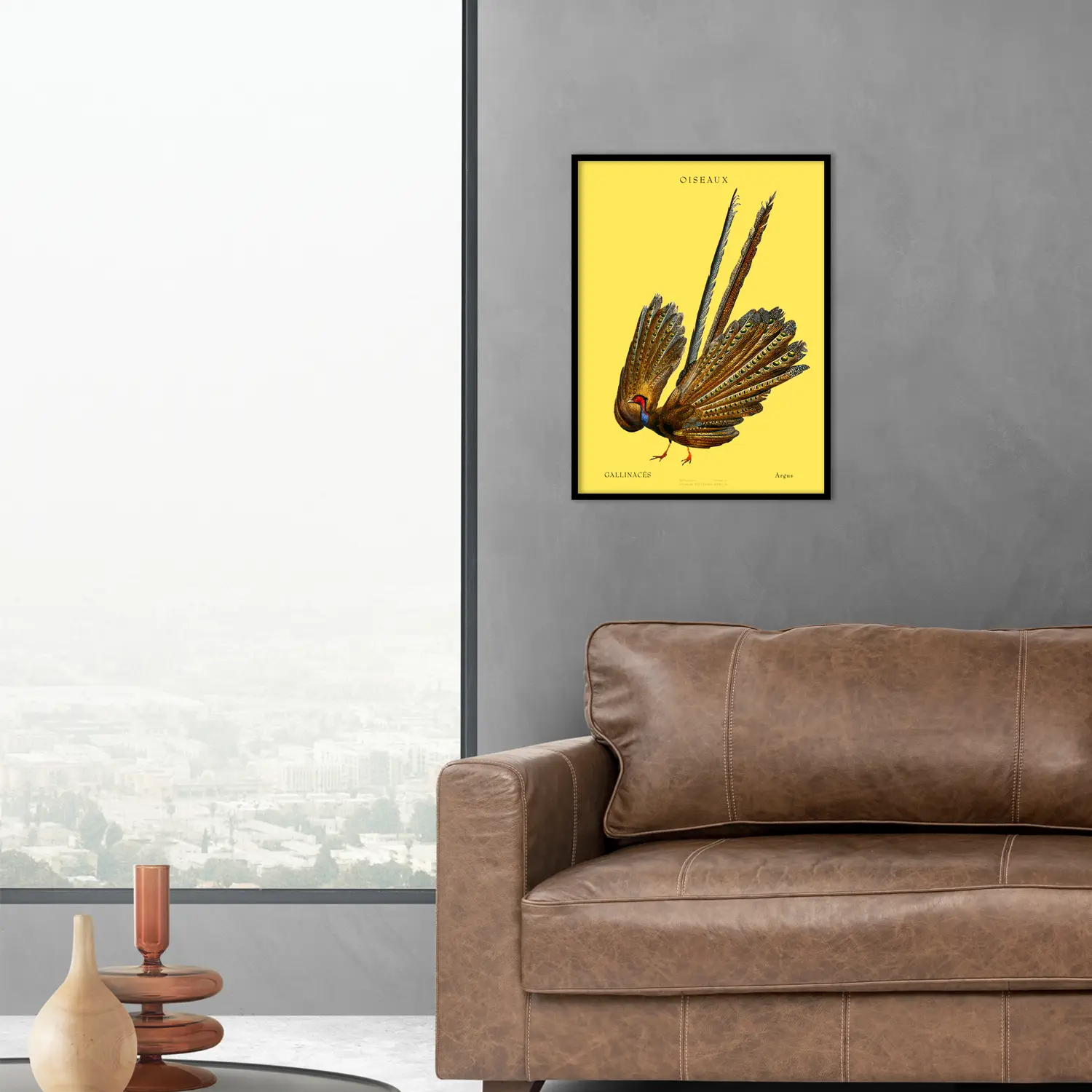 Great Argus - Image 2