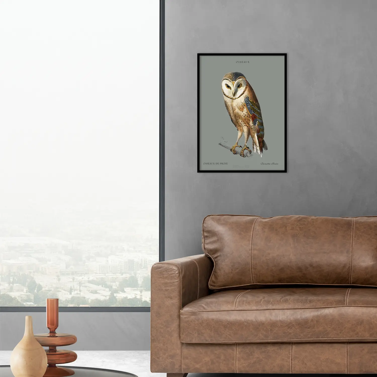 Barn Owl - Image 2