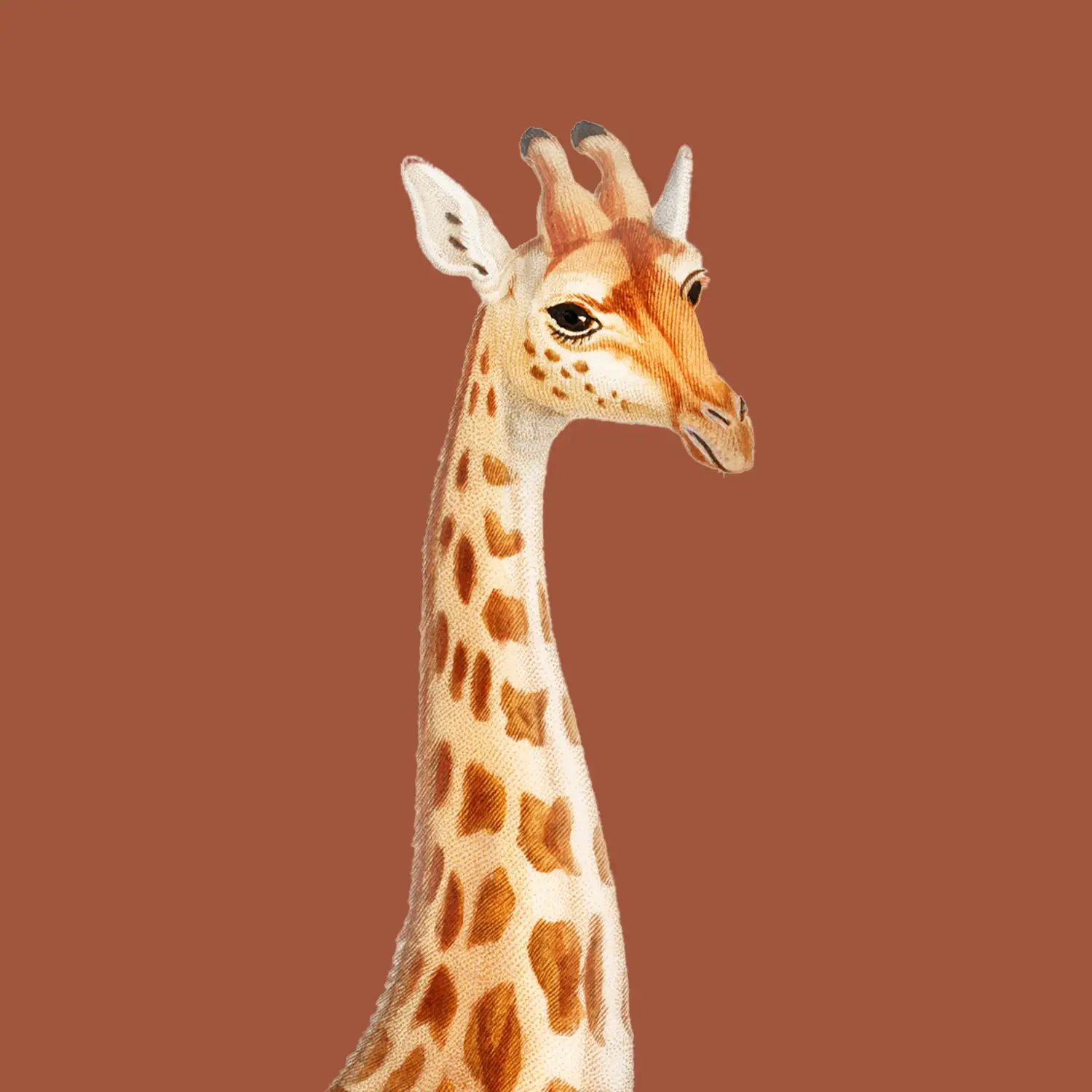 Giraffe - Image 2