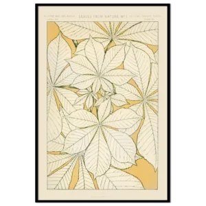 Leaves from Nature, No. 1
