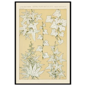 Leaves from Nature, No. 3