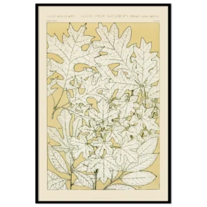 Leaves from Nature, No. 4